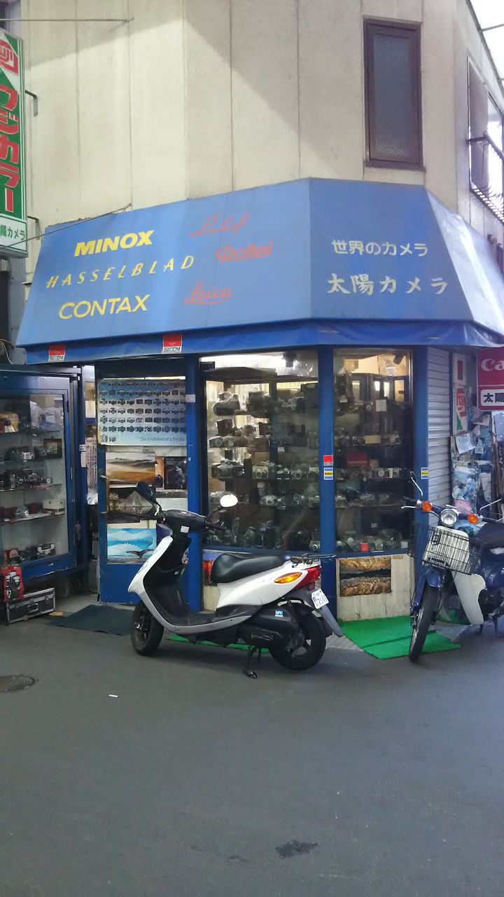 太陽カメラ ねこむすめのブログ