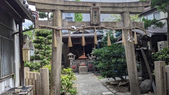 ねこむすめのブログ:猫塚