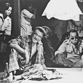 河内のオッサンの唄 ねこむすめのブログ