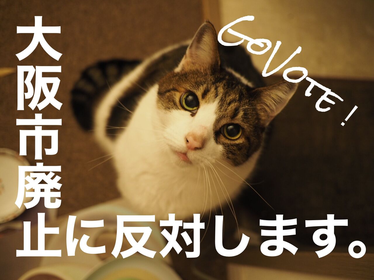最後まで大阪市廃止に反対 ねこむすめのブログ