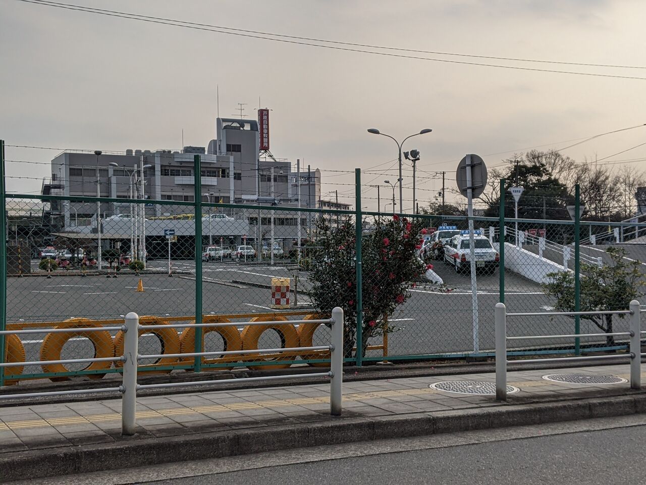 文教地区 芦原橋 ねこむすめのブログ