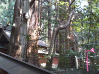 04b721a2.jpg