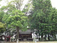 0f8cd04b.jpg
