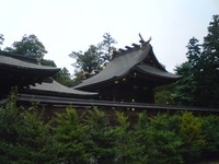 1ca45356.jpg