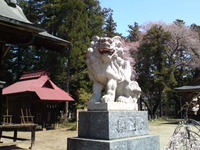5e878909.jpg