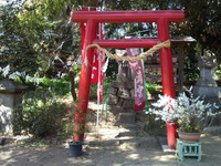 667dc803.jpg