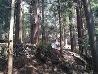 6c204898.jpg