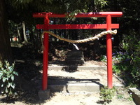 738ec666.jpg