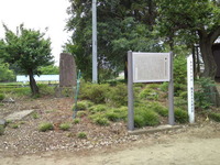 958bd44c.jpg