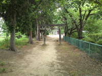 c678dfe4.jpg