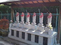 c7830752.jpg