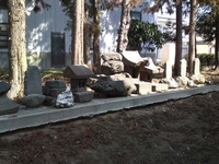 cc005efc.jpg