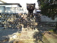 e8803df0.jpg