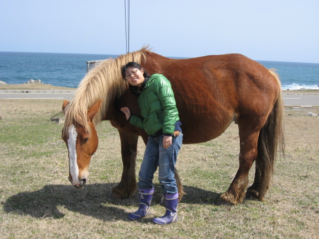 下北半島 イルカのいる海