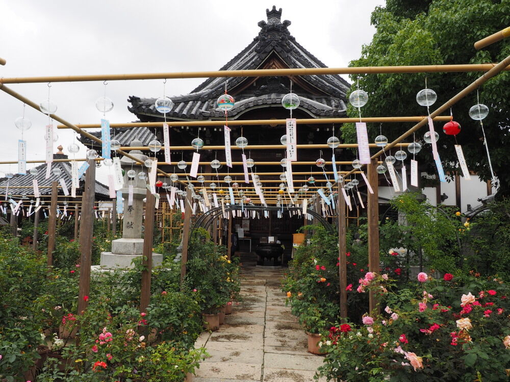 おふさ観音風鈴まつりをこまぶら こまぶら