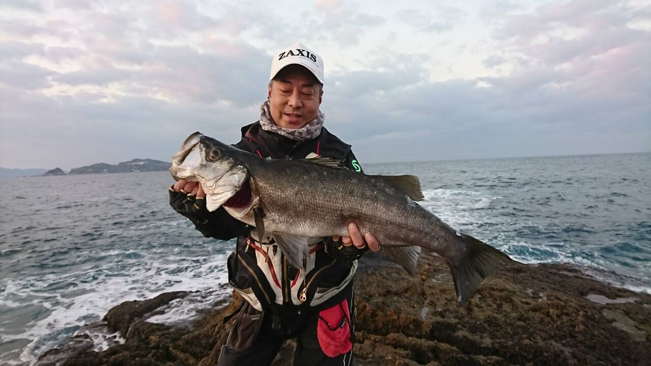 伊王島方面のヒラスズキ釣果 ヒラニストの釣行記