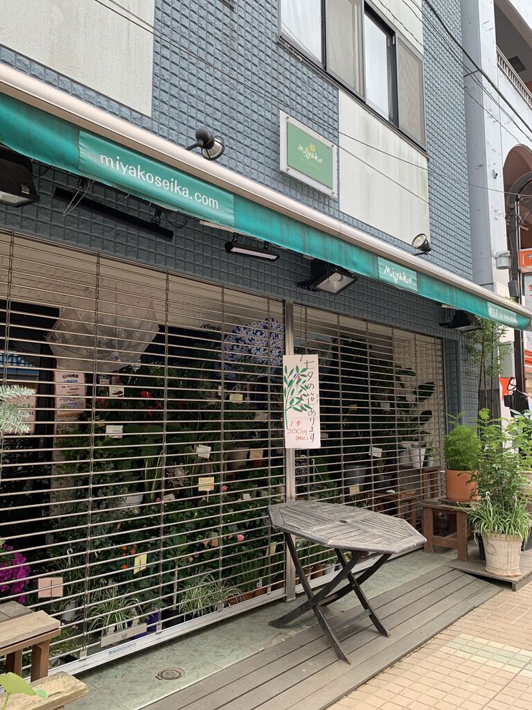 染井銀座商店街 こまゴメスの駒込散歩 染井銀座商店街 こまゴメスの駒込散歩
