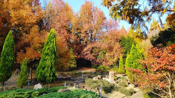 IMG_20201120_233229_202