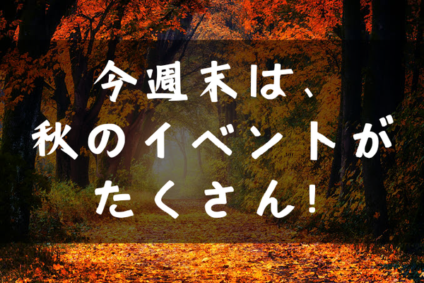 20231024_040224_0000