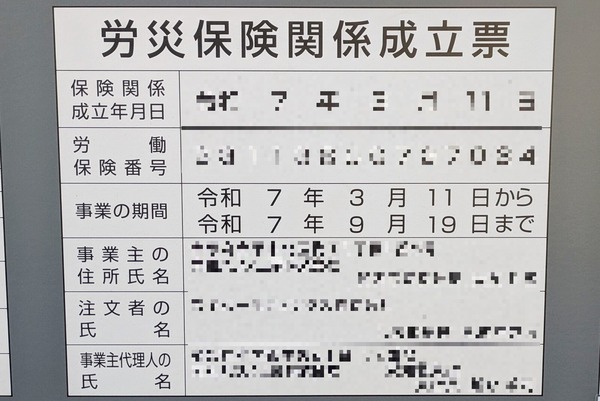sugi1