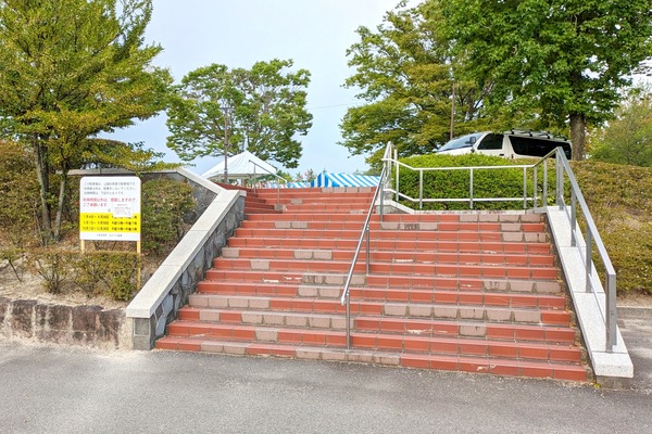 PXL_20230727_074508608-01