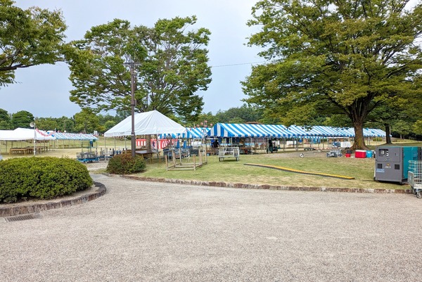 PXL_20230727_074529997-01