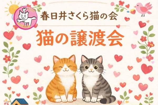 2/14(土)14:00～16:00で猫の譲渡会。小牧勤労センター2階にて（小牧市上末）