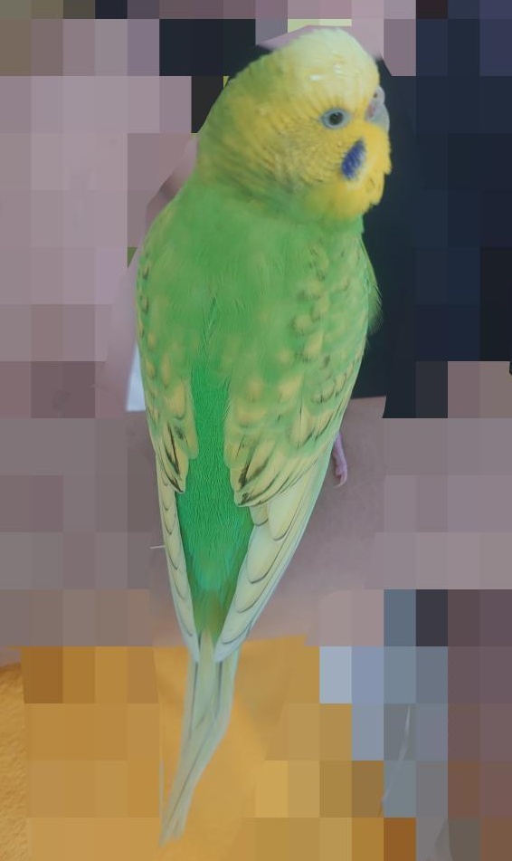 IMG_20210822_181845_655-01