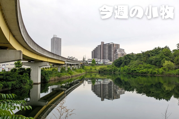 今週の小牧_20240624_054218_0000
