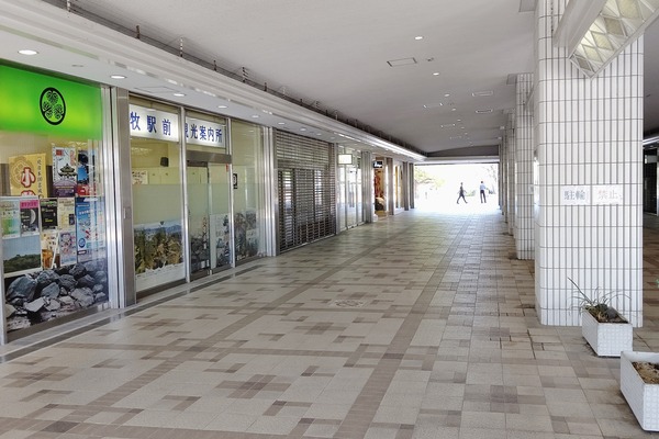 DIAGONAL_0001_BURST20220412134021684_COVER-01