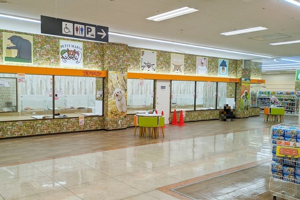 puchi3