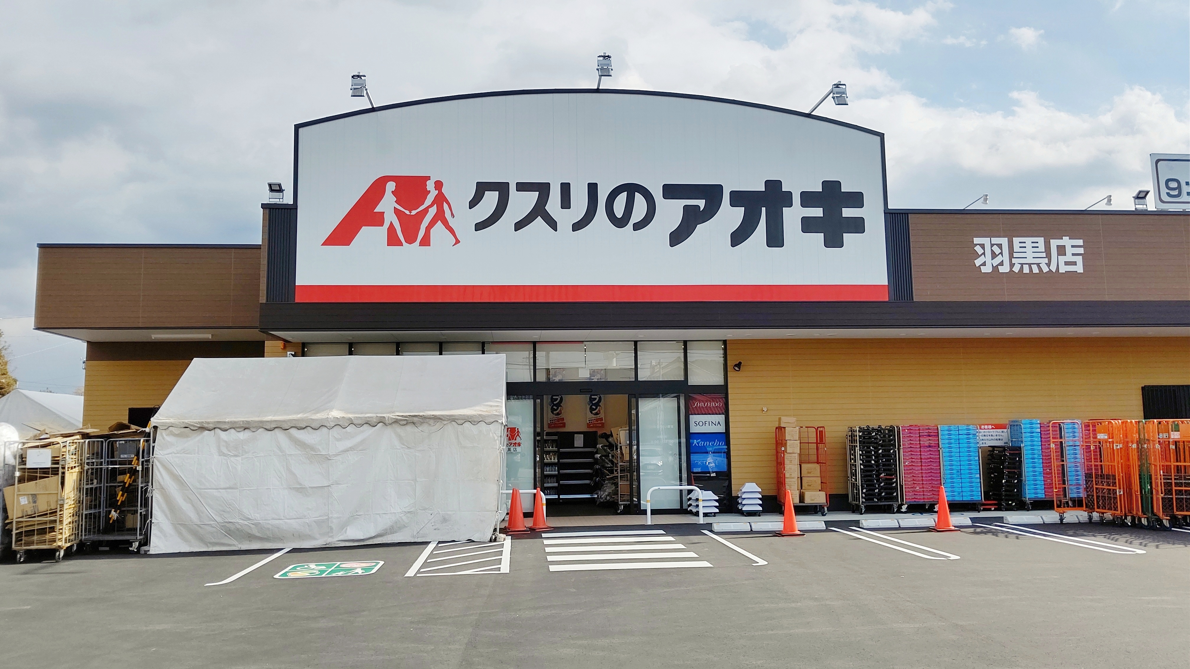 アオキ くすり の