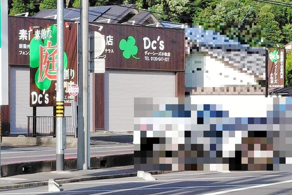 dcs12