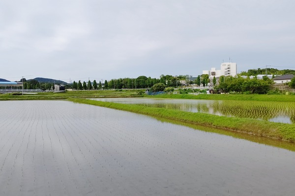 DSC_8095-01