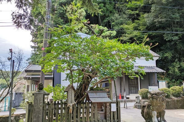 PXL_20230808_080633876-01