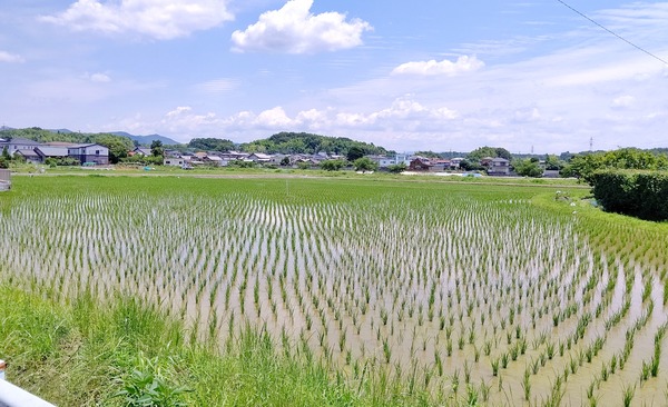 DSC_4758-01-01
