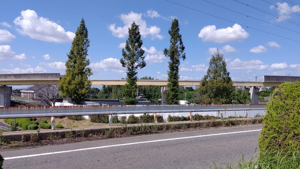 ピーチライナーの線路の撤去工事