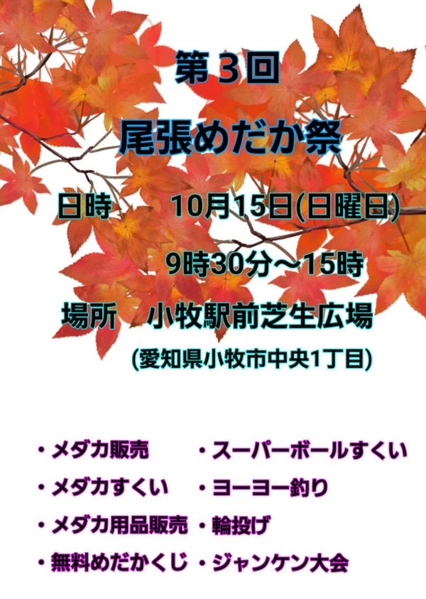 Screenshot_20231009-232621-01