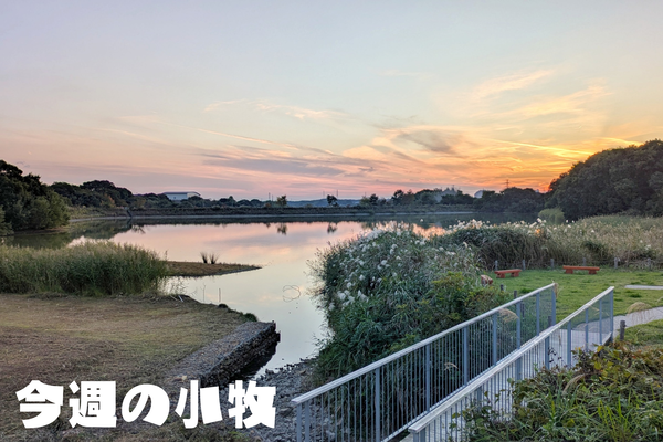 今週の小牧_20251113_215933_0000