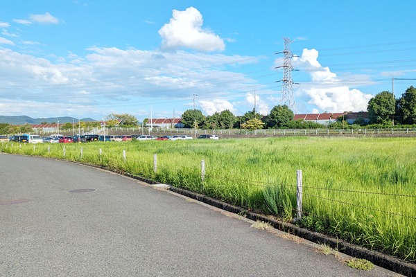 PXL_20230917_070427520-01