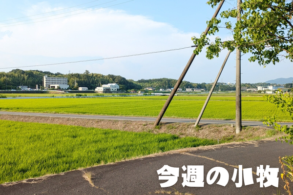 今週の小牧_20240811_232855_0000