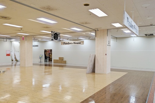 PXL_20230913_080309523-01