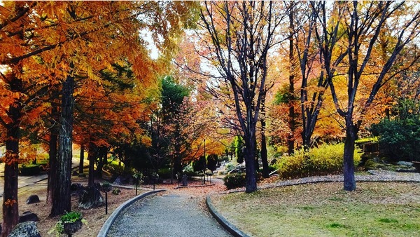 Screenshot_20201120-234640-01