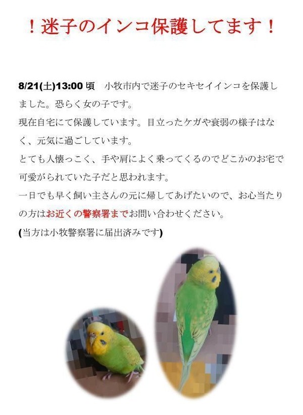 IMG_20210822_181836_342-01