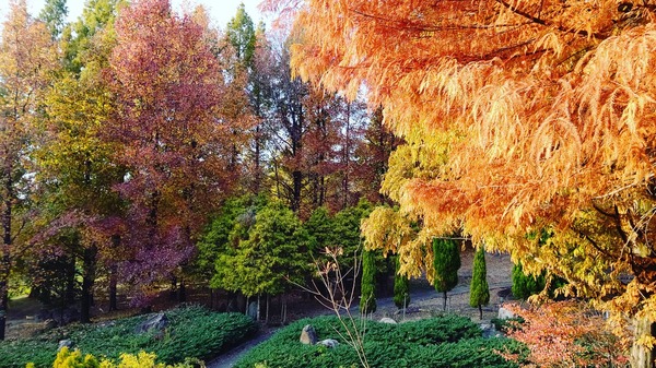 IMG_20201120_233229_181