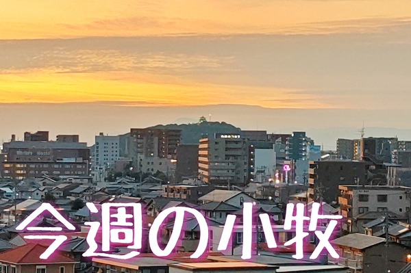2022_1016_2148_12608