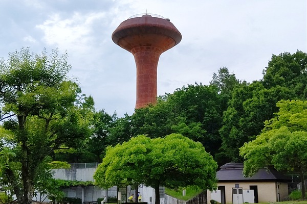 DSC_7293-02