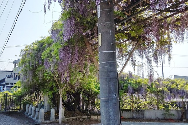 fuji5d8980