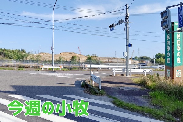 2023_0422_1959_29438