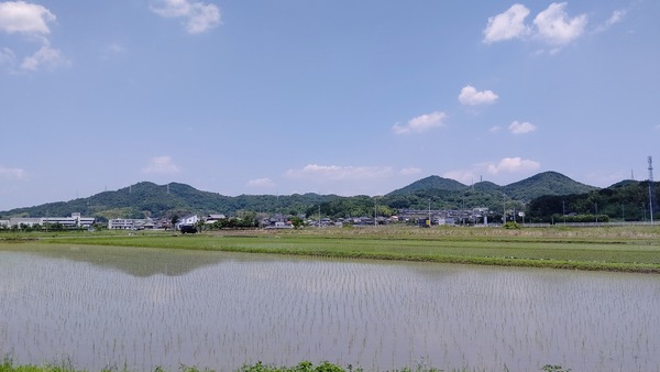 DSC_1186-01